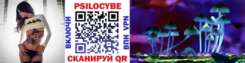 Купить  Дрезна  Галлюциногенные грибы Psilocybe 